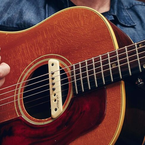 L.R. Baggs M1 Active Acoustic Guitar Magnetic Soundhole Pickup in Kuwait