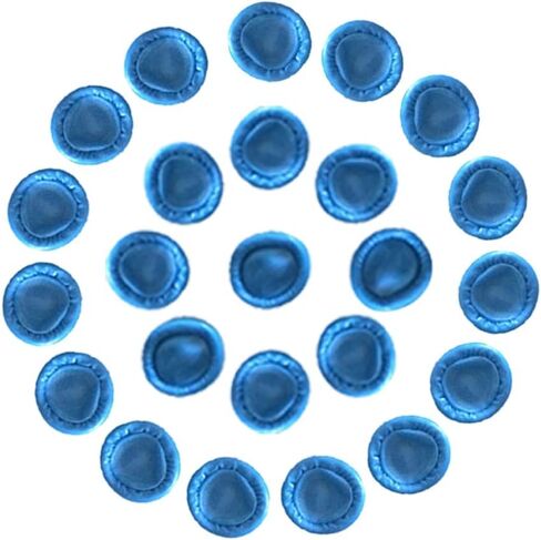 330 PCS Large Disposable Nitrile Finger Cots, Non-allergenic No Powder Finger Protectors，Thumb Covers Protector for Fingertips, Suitable for Manicure, Massage,Painting,Electronic Repair (Blue) in Kuwait