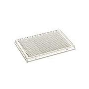 384 Well Accuflow PCR Plate, Single Notch, Clear PP in Saudi Arabia