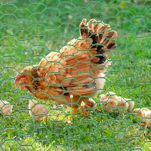 لفة شبكة سلكية للدجاج، شبكة حديقة سداسية مقاس 40 سم × 5 م لسياج الدواجن، حظائر الحيوانات، شبكة شبكية لتربية الدواجن، حماية المحاصيل والمشاريع اليدوية اليدوية in Kuwait