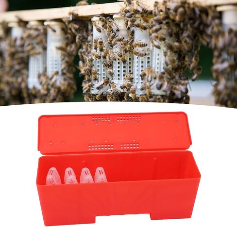 Queen Bee Cage Set, 21 Pieces, Queen Bee Cage, Prevent Injuries, Transport, Queen Bee Isolator in Saudi Arabia