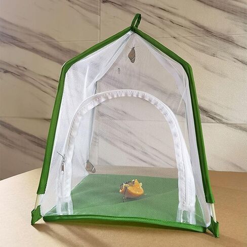 Animal Cage Exquisite Ornamental House Shaped Gardening Cage for Science Education Experiment Animal Mesh Cage in Saudi Arabia