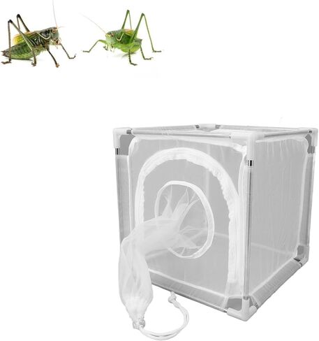 قفص شبكي أبيض يطير مع أنابيب من الفولاذ المقاوم للصدأ، 100 شبكة نايلون قابلة للفصل في الهواء الطلق قفص مراقبة الذبابة لتربية الفقس in Kuwait