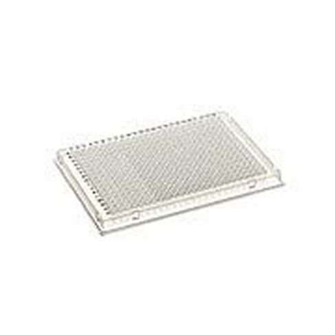 384 Well Accuflow PCR Plate, Single Notch, Clear PP in Saudi Arabia
