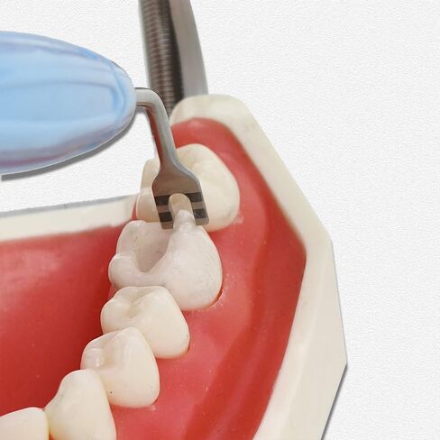 Dental Aesthetic Restoration Composite Resin Filling Spatula Dental Cusp Misura Resin Filler Tool Silicone Handle in Kuwait