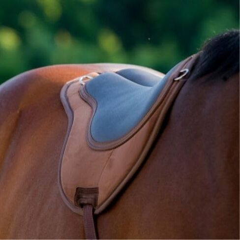 ThinLine Bareback Saddle Pad - ThinLine Comfort Bareback Pad-Brown in Kuwait