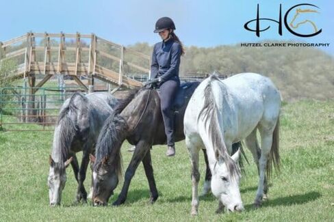 ThinLine Bareback Saddle Pad - ThinLine Comfort Bareback Pad-Brown in Kuwait