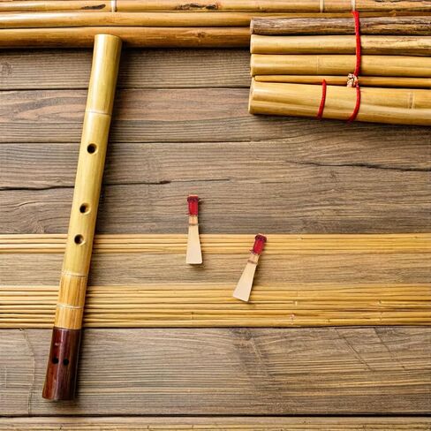 5 قطع من قصب الباسون من كيسانجل، مجموعة بديلة من قصب آلات النفخ الخشبية الطبيعية الناعمة المتوسطة للاعبين المحترفين والمبتدئين in Kuwait