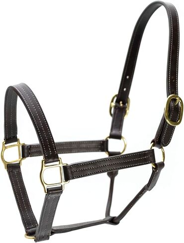 Jeffers Lexington Triple Stitched Leather Halter for Horses – Adjustable Double Buckle Crown, Breakaway Option, Equestrian Horse Tack for Riding, Show, Travel, & Turnout in Kuwait