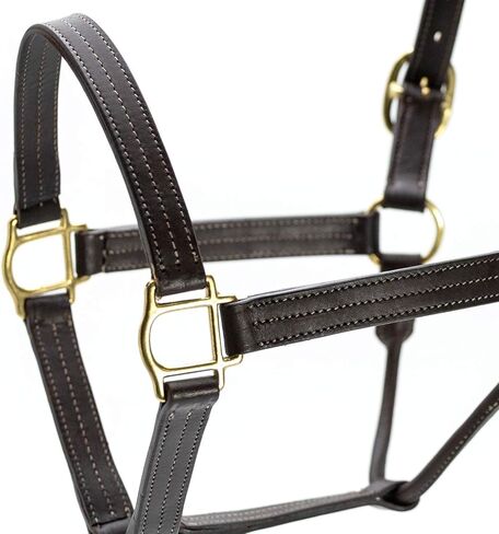 Jeffers Lexington Triple Stitched Leather Halter for Horses – Adjustable Double Buckle Crown, Breakaway Option, Equestrian Horse Tack for Riding, Show, Travel, & Turnout in Saudi Arabia