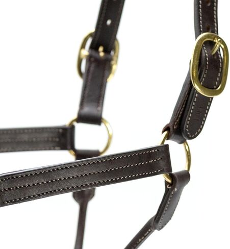 Jeffers Lexington Triple Stitched Leather Halter for Horses – Adjustable Double Buckle Crown, Breakaway Option, Equestrian Horse Tack for Riding, Show, Travel, & Turnout in Saudi Arabia
