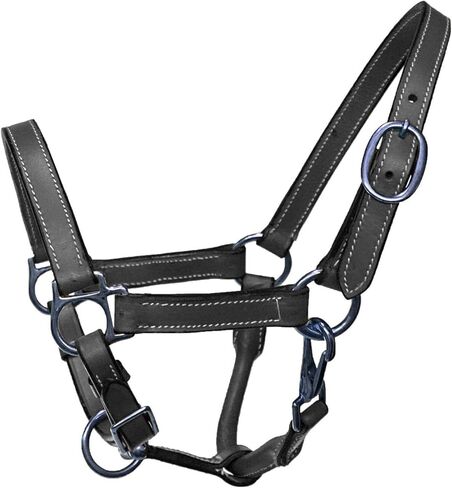 Miniature Horse Size Leather Halter with Steel Plated Hardware in Saudi Arabia