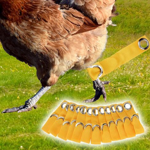 Yellow Tie Cord Hitches, Leash for Game Fowl, Chicken Strap for Poultry, Egg Homestead Strap Tie Cord, Leash for Game Fowl Birds Calsas para Gallos Hitch, Chicken Supplies Accessories (24) in Kuwait