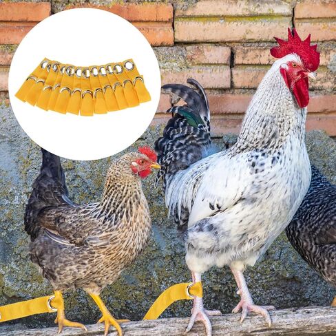 Yellow Tie Cord Hitches, Leash for Game Fowl, Chicken Strap for Poultry, Egg Homestead Strap Tie Cord, Leash for Game Fowl Birds Calsas para Gallos Hitch, Chicken Supplies Accessories (24) in Kuwait
