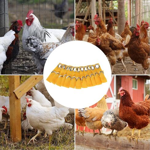 Yellow Tie Cord Hitches, Leash for Game Fowl, Chicken Strap for Poultry, Egg Homestead Strap Tie Cord, Leash for Game Fowl Birds Calsas para Gallos Hitch, Chicken Supplies Accessories (24) in Kuwait