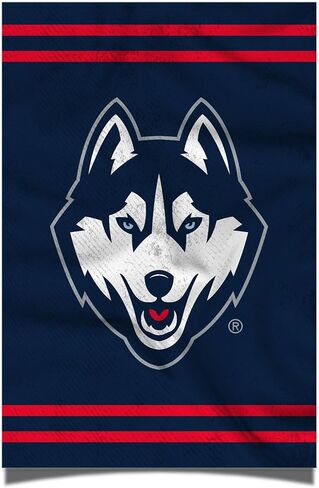 ملصق جامعة صبار الصحراء في ولاية كونيتيكت UConn Huskies مقاس 11 × 17 بوصة ديكور مكتب الغرفة ديكور رسمي للمروحة (11 × 17 بوصة، الإصدار 3) in Saudi Arabia