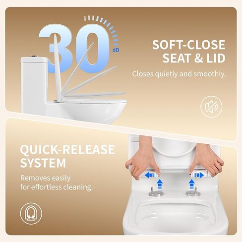 DeerValley One Piece Toilet Elongated Toilet with Soft-Close Seat Powerful 1.1/1.6 GPF Dual Flush Standard Height Toilets Skirted Design 12" Rough-In DV-1F026 in Kuwait