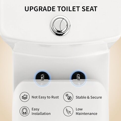 DeerValley One Piece Toilet Elongated Toilet with Soft-Close Seat Powerful 1.1/1.6 GPF Dual Flush Standard Height Toilets Skirted Design 12" Rough-In DV-1F026 in Kuwait