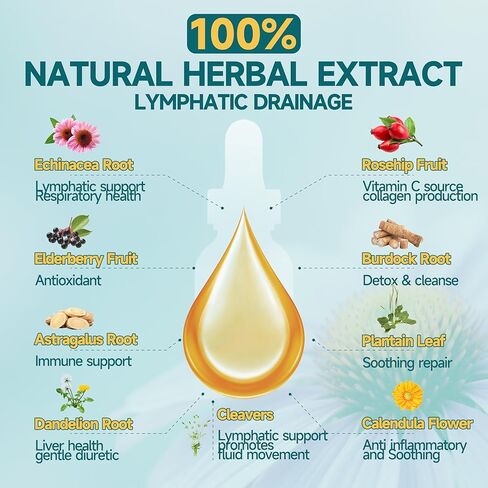 قطرات التصريف اللمفاوي العضوية - مكمل التصريف اللمفاوي مع إشنسا لدعم نظام اللمف، البلسان، استراغالوس، السواطير، الأرقطيون والهندباء للتطهير اللمفاوي والتخلص من السموم - 2 أونصة سائلة in Kuwait