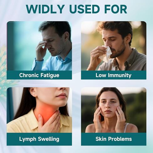 قطرات التصريف اللمفاوي العضوية - مكمل التصريف اللمفاوي مع إشنسا لدعم نظام اللمف، البلسان، استراغالوس، السواطير، الأرقطيون والهندباء للتطهير اللمفاوي والتخلص من السموم - 2 أونصة سائلة in Kuwait