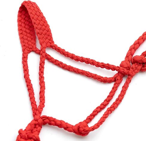 Jeffers Braided Mule Tape Halter with 10 ft Lead Rope for Horses 750–1200 lb - Full Size Adjustable Knot Horse Halter, Equestrian Training Tack for Riding, Trail, Western, Barn, Stable – Pink in Kuwait