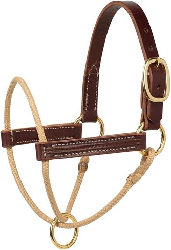 Weaver Leather Kalley Krickeberg Horseman's Leather Foal Halter in Kuwait