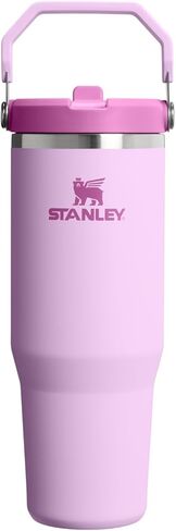 Stanley Iceflow 2.0 Flip Straw Tumbler مع مقبض 20 أوقية | تطور على الغطاء وقلب القش | زجاجة ماء مقاومة للتسرب | معزول الفولاذ المقاوم للصدأ | BPA خالية | أزور in Kuwait