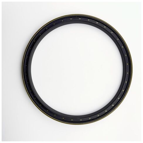 1pcs Oil Seal 165x190x15.5/17mm in Saudi Arabia