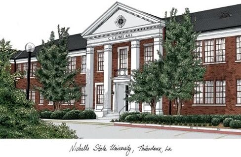 صور الحرم الجامعي NCAA Nicholls State Colonies للجنسين مانهاتن أسود، أسود، مقاس واحد in Saudi Arabia