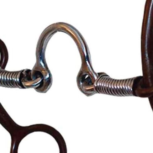 Partrade Lifter Port Gag Bit in Kuwait