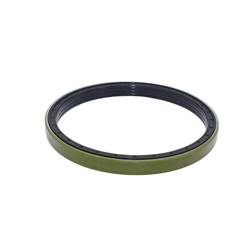 165 * 190 * 15.5/17 Oil Seal in Saudi Arabia