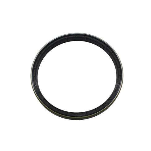 165 * 190 * 15.5/17 Oil Seal in Saudi Arabia