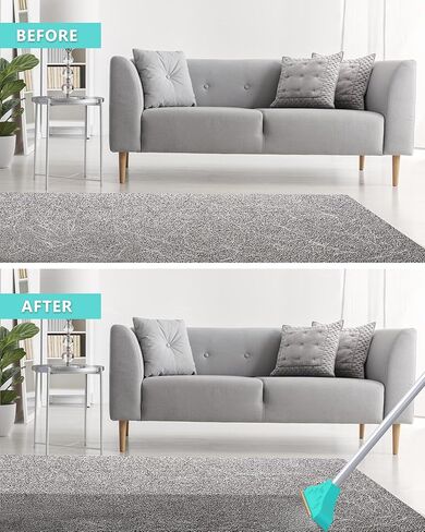 Pet Hair Remover for Carpet, Long Handle Carpet Rake for Dog Cat Hair Removal,Reusable Design Carpet Scraper Rake for Couch,Stairs,Car Mats in Kuwait