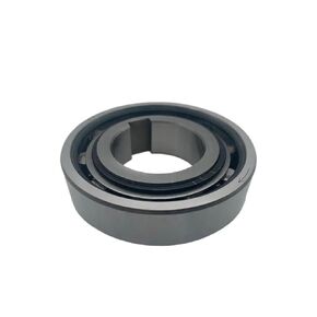 AS25 محامل من نوع الأسطوانة ذات براثن ذات اتجاه واحد in Kuwait