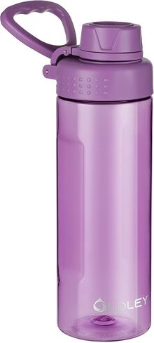 OLDLEY Water Bottles 20oz BPA Free Tritan Water Bottle with Carry Handle and Spout Lid, Leakproof Kids Water Bottle for Home,Travel, School, Outdoors, Transparent in Saudi Arabia