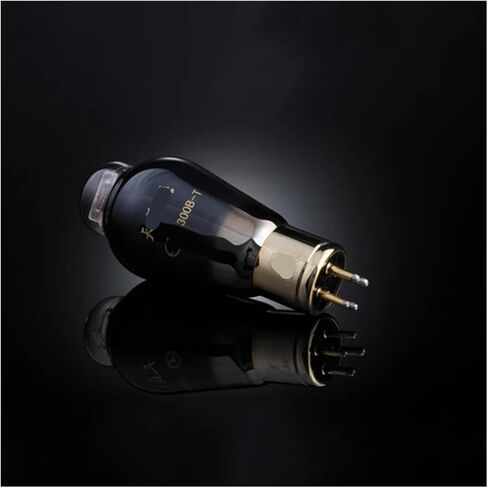 الصوت الطبيعي 300B-T أنبوب مطابقة أنبوب استبدال 300B 4300B 300B-98 مكبر للصوت الملحقات in Saudi Arabia