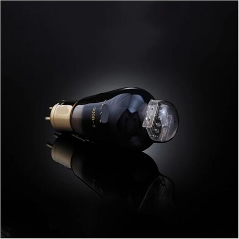 الصوت الطبيعي 300B-T أنبوب مطابقة أنبوب استبدال 300B 4300B 300B-98 مكبر للصوت الملحقات in Saudi Arabia