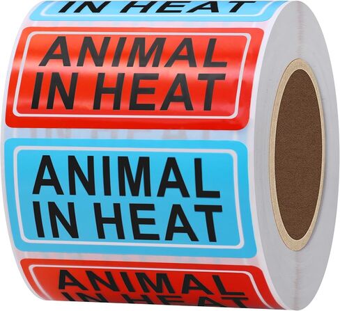 HYBSK 500 Pcs Animal in Heat Warning Labels for Veterinary Medication Instruction 1x 2 Inch Blue and Red File Folder Stickers for Animal Hospital Clinic Pharmacies Hospitals in Saudi Arabia