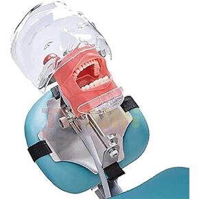 Stainless Steel Dental Model Simulator Phantom Head Training Resin Tooth Science Fiction Shadow Education Human Body in Saudi Arabia