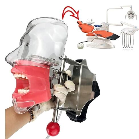 Stainless Steel Dental Model Simulator Phantom Head Training Resin Tooth Science Fiction Shadow Education Human Body in Saudi Arabia