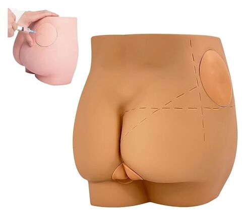 Buttocks Muscle Injection Practice Model, Training Simulator, Suitable for Medical Students Or Nurses Teaching in Saudi Arabia