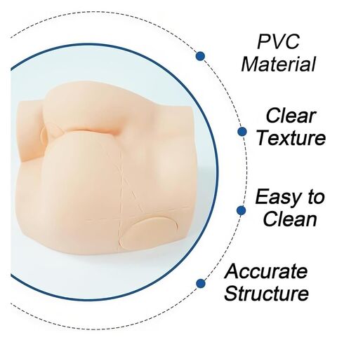 Buttocks Muscle Injection Practice Model, Training Simulator, Suitable for Medical Students Or Nurses Teaching in Saudi Arabia