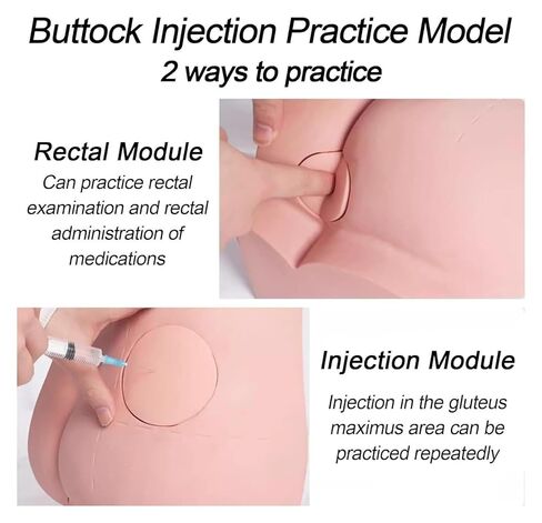 Buttocks Muscle Injection Practice Model, Training Simulator, Suitable for Medical Students Or Nurses Teaching in Saudi Arabia
