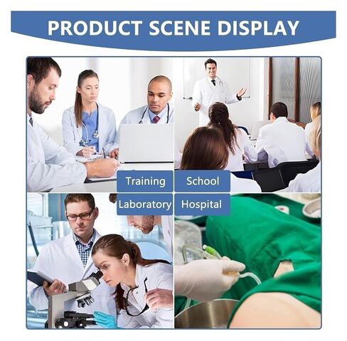 Buttocks Muscle Injection Practice Model, Training Simulator, Suitable for Medical Students Or Nurses Teaching in Saudi Arabia