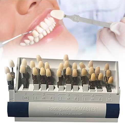 Tooth Guide Oral Dentist Tool, 29 Color Model, Suitable for Clinics and Hospitals in Saudi Arabia