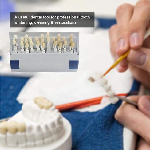 Tooth Guide Oral Dentist Tool, 29 Color Model, Suitable for Clinics and Hospitals in Saudi Arabia