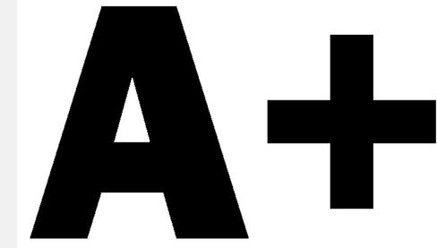 A+ 250 Pcs Stickers Pack 2.25 x 1.25 in Teacher Plus A Student School Grade in Kuwait