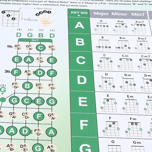 Banjo Chord Chart - Coated Paper, Beginner Finger Practice - Portable Design for Tune Fingering in Saudi Arabia