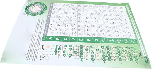 Banjo Chord Chart - Coated Paper, Beginner Finger Practice - Portable Design for Tune Fingering in Saudi Arabia