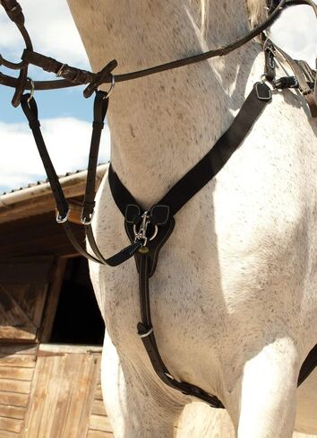 Rhinegold V-Check in Kuwait